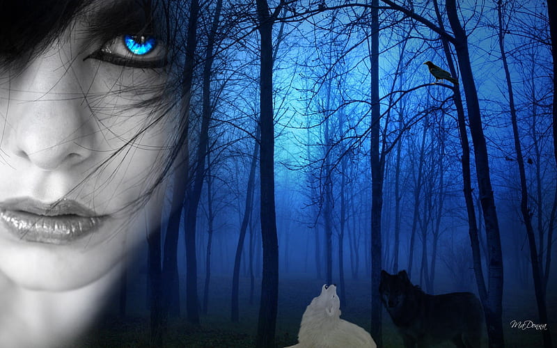 Blue Eyes in the Forest, forest, haunting, raven, woods, mysterious, goth, girl, gothic, beautiful woman, wolves, blue eyes, eyes, light, HD wallpaper