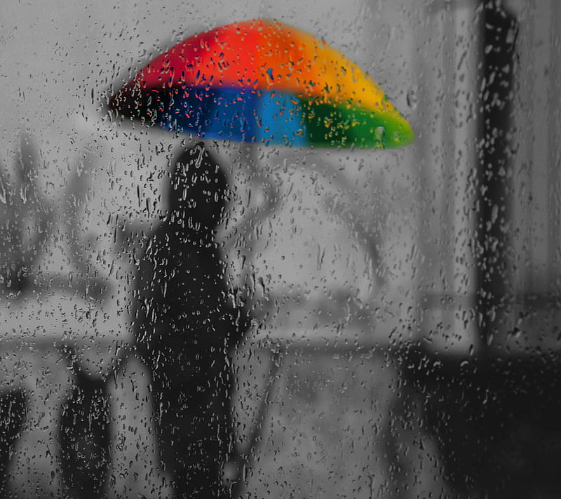 Rain Photos, Download The BEST Free Rain Stock Photos & HD Images