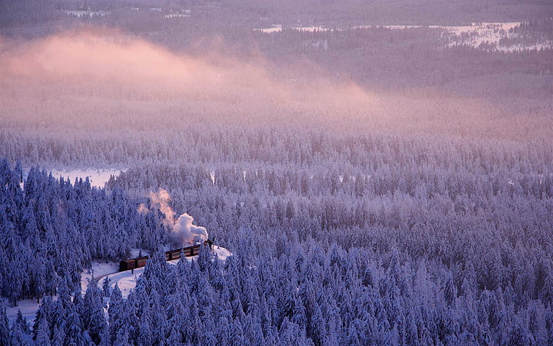 forest, winter, train, saxony-anhalt, railroad, germany, HD wallpaper