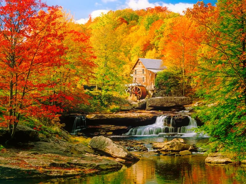 Forest mill in autumn, stream, fall, autumn, calmness, lovely, mill, colors, bonito, creek, trees, foliage, stones, cascades, grist, water mill, river, HD wallpaper