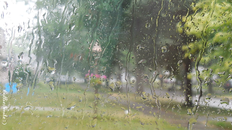 Rained Out, rained, water, lantern, raining, drops, rain, trees, HD wallpaper