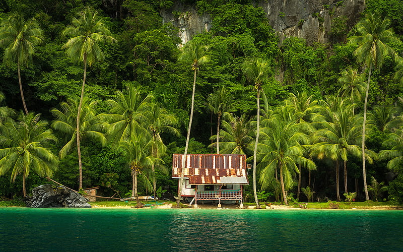 Philippines, paradise, tropics, hut, sea, palms, Asia, HD wallpaper