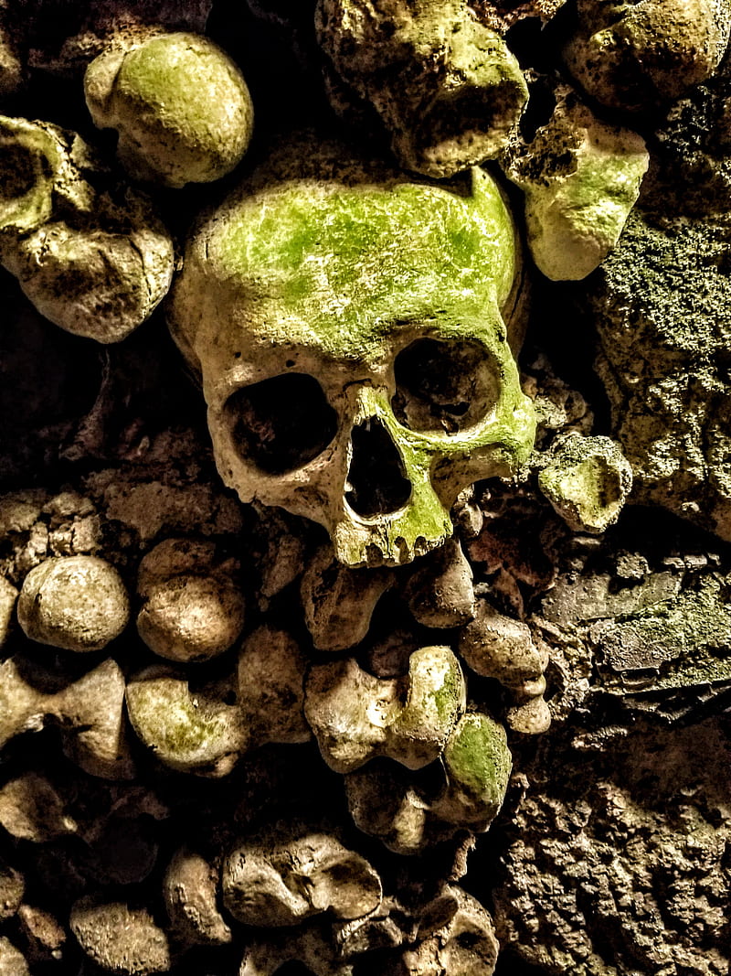 Moss Skull, catacombs, dead, france, horror, moss, paris, skull, HD phone wallpaper