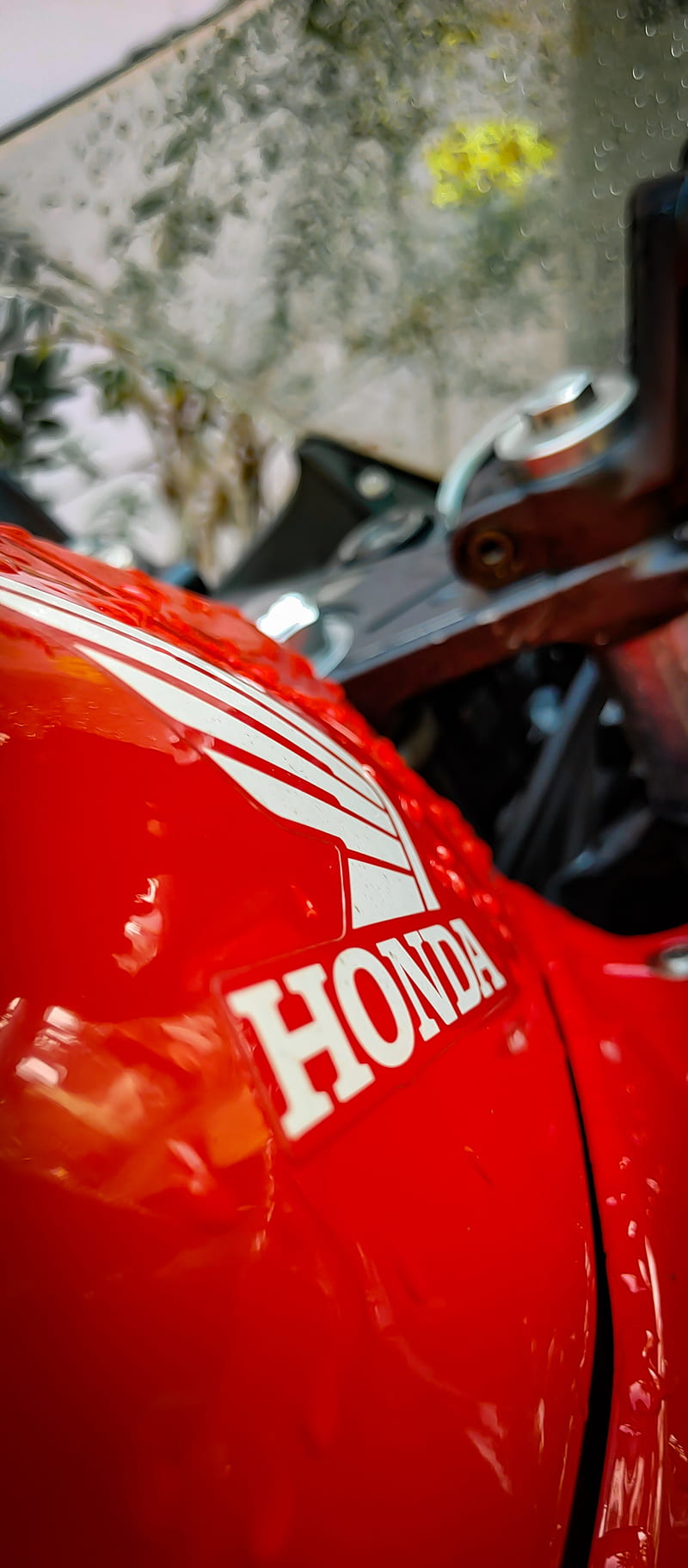 Honda cbr 250 r, 2017, cbr bike, cbr250, cbr250r, honda bikes, hondacbr,  red, HD phone wallpaper | Peakpx