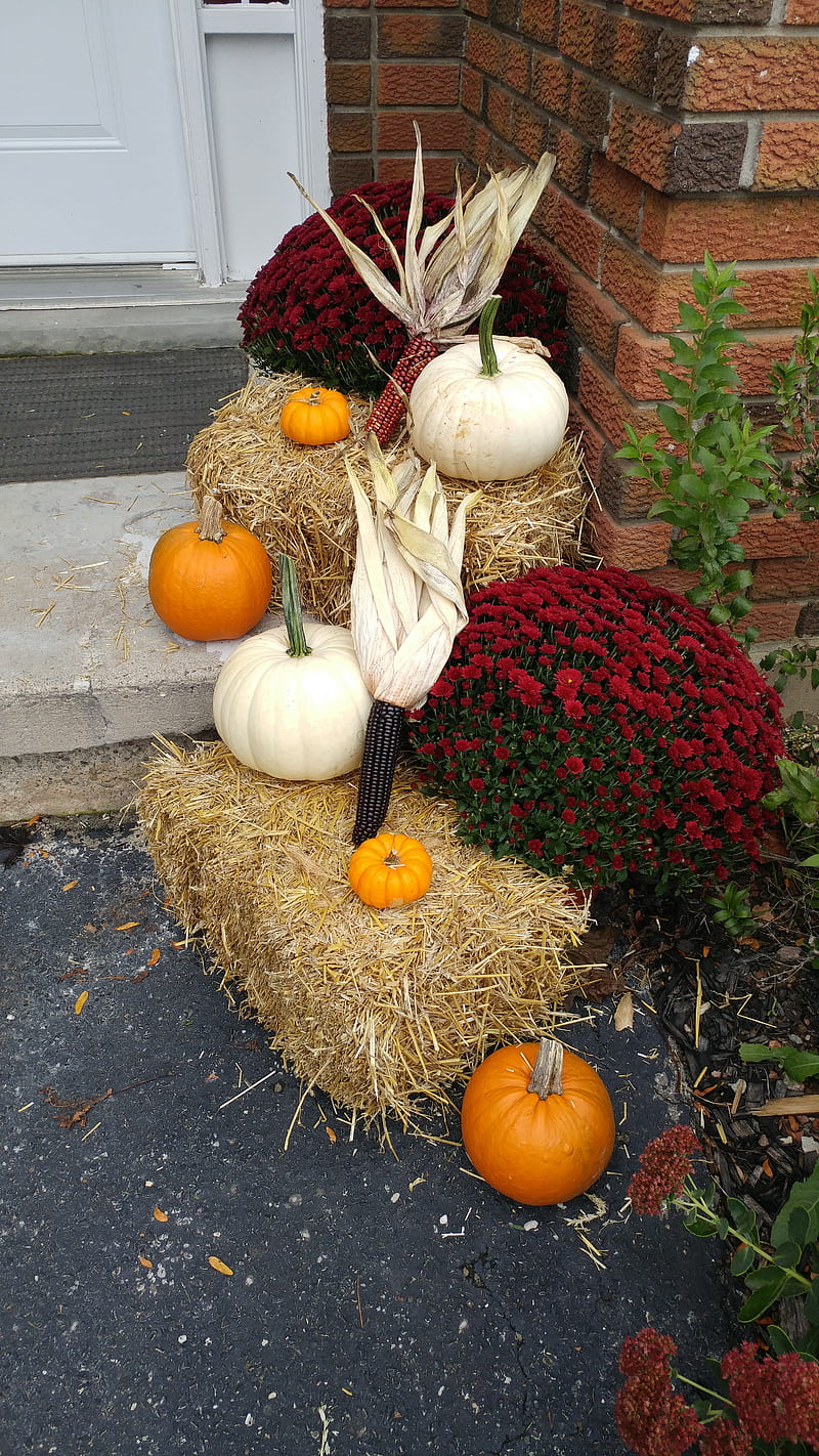 Otoño, otoño, calabazas, calabaza, Fondo de pantalla de teléfono HD