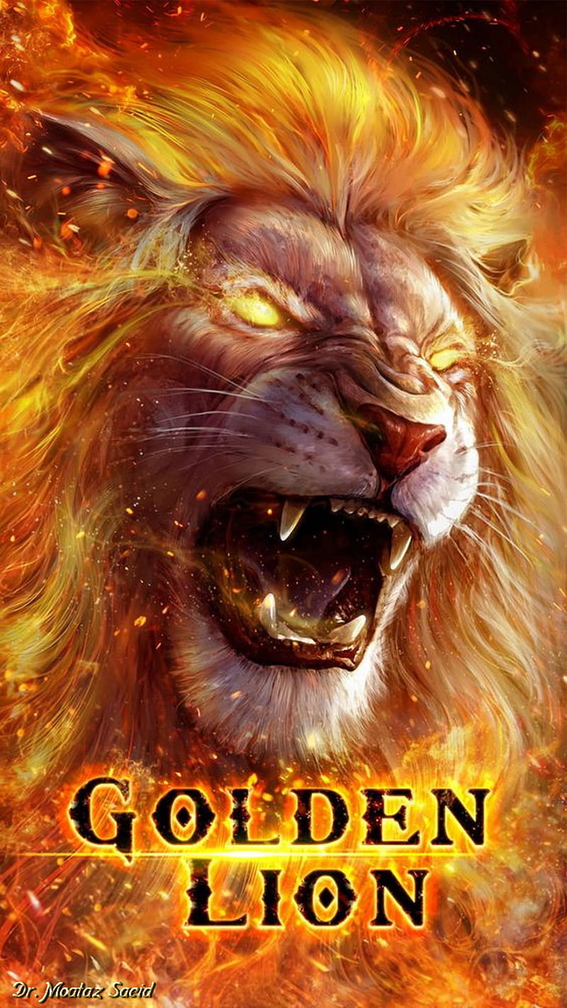 GoldenLion, fire, lion, tattoo, HD phone wallpaper