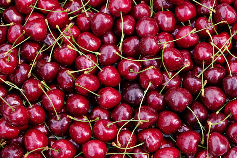 cherries, fruit, red, ripe, HD wallpaper