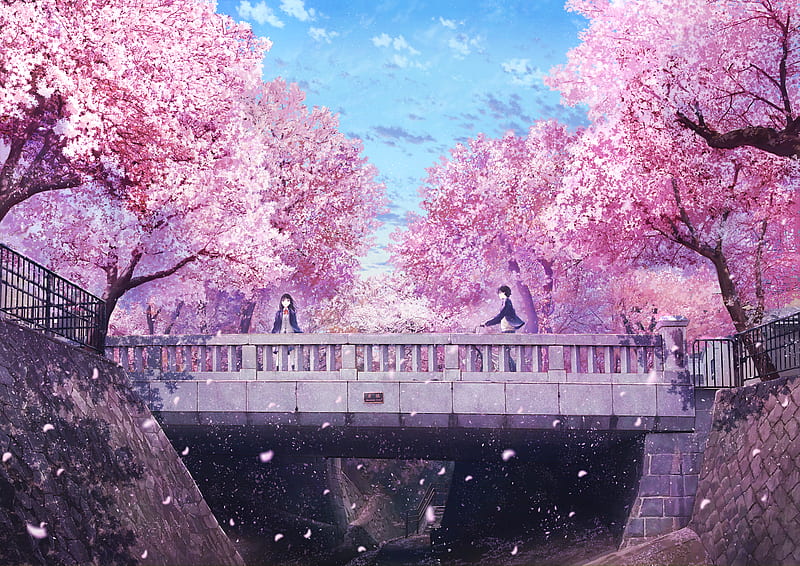 Anime, Love, Girl, Boy, Sakura, Flower, HD wallpaper