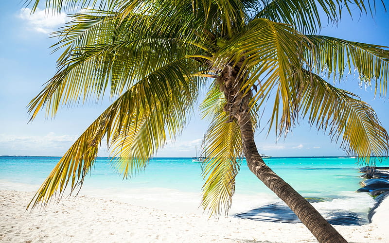 tropical island, white yacht, palm tree, beach, blue lagoon, ocean, HD wallpaper