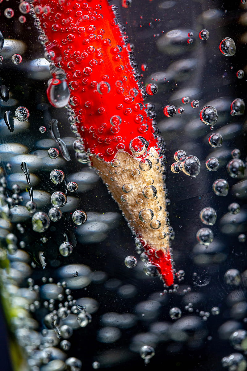 pencil, water, bubbles, red, HD phone wallpaper