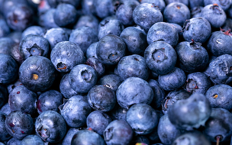 blueberries macro, berries, food textures, fresh fruits, background with blueberries, HD wallpaper