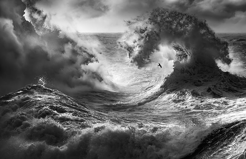 Earth, Wave, Black & White, HD wallpaper