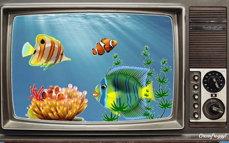 TV FISH TANK, FISH, CREATION, TV, TANK, HD wallpaper