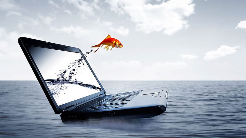 Laptop, computer, technology, water, fish, HD wallpaper | Peakpx