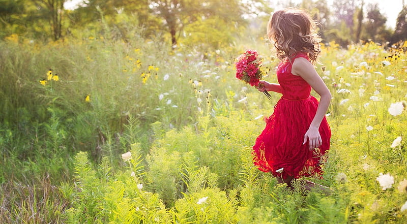 Field of Flowers, red dress, girl, beauty, sunshine, nature, roses, field, HD wallpaper