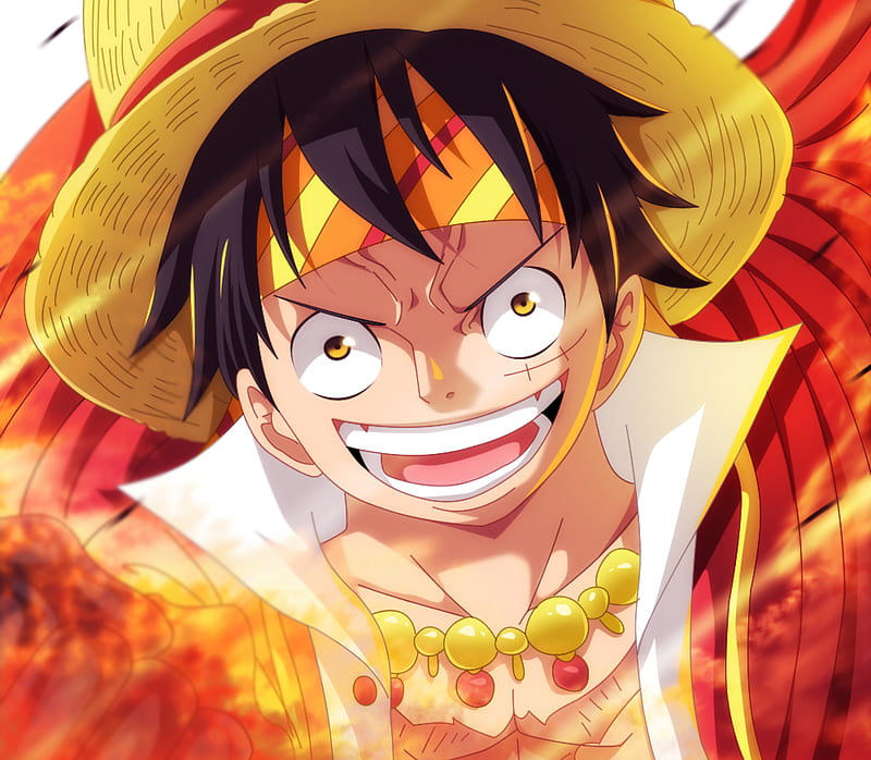 Download One Piece Pirate Monkey D Luffy Wallpaper | Wallpaperscom