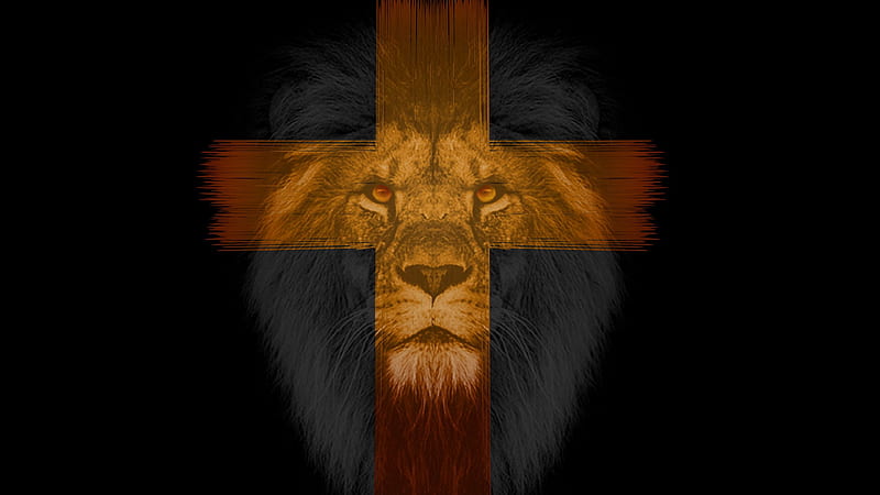 Cross On Lion Face In A Black Background Cross, HD wallpaper
