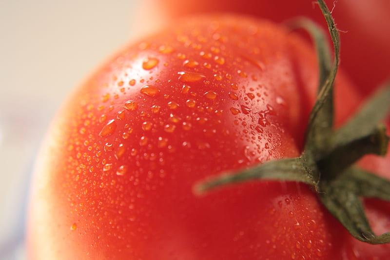 ️, Tomato, Drops, Red, Fresh, HD wallpaper
