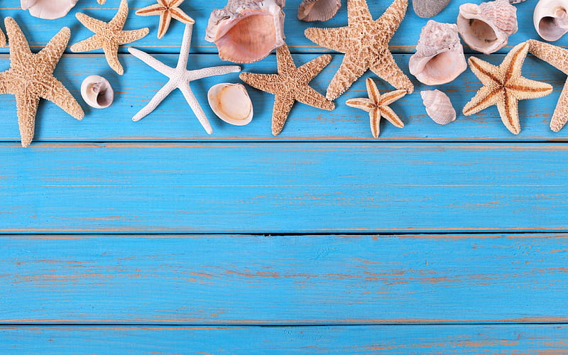 Happy Summer!, card, wood, vara, shell, summer, blue, starfish, HD wallpaper