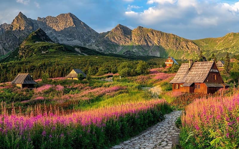Tatra Mountains in Poland, valley, path, Tatra, meadow, mountains, Poland, houses, HD wallpaper