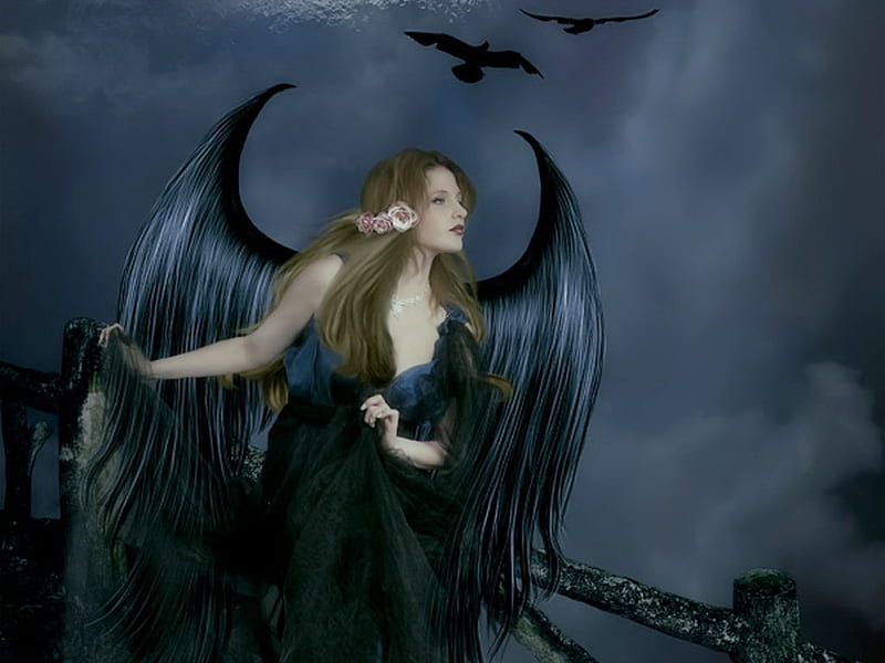Digital Angel II, wings, cg, angel, birds, abstract, artwork, fantasy, 3d, flowers, HD wallpaper