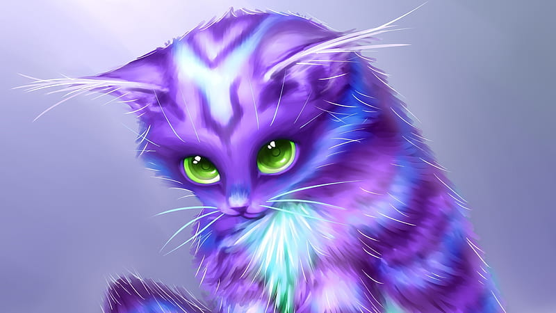 Purple Cat With Green Eyes Purple, HD wallpaper
