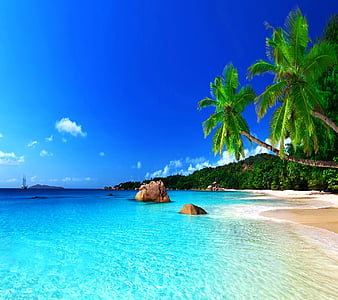 Tropical Paradise, HD wallpaper | Peakpx