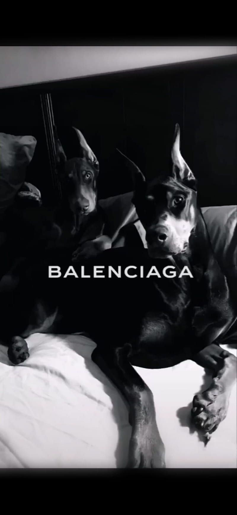 Chi tiết hơn 97 hình nền luxury brand balenciaga hay nhất  thdonghoadian