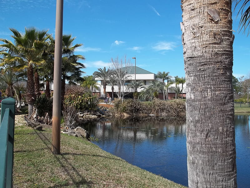 Daytona Convention Center, pretty, water, paradise, grounds, HD wallpaper