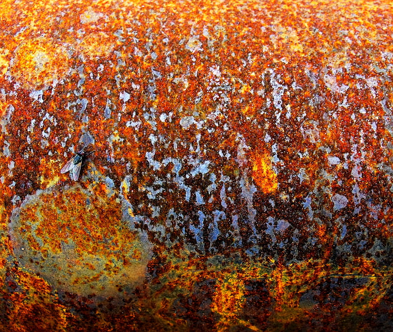 orange rust, metal, HD wallpaper