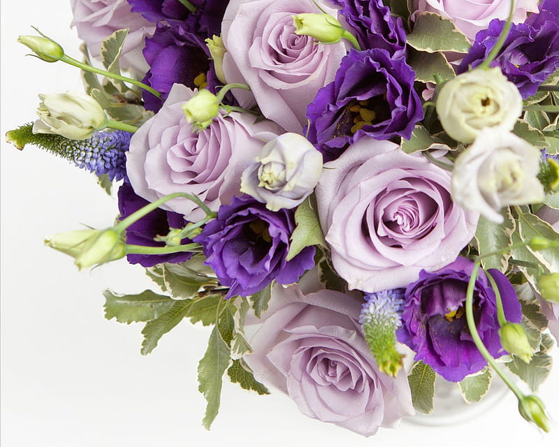 ✿ Lavender Party ✿, perfume, bouquet, fresh, lavender, roses, fragrance, HD wallpaper