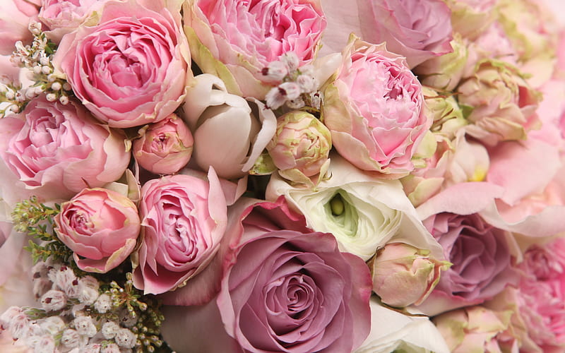 Pink bouquet, pastel, roses, bouquet, pink, HD wallpaper