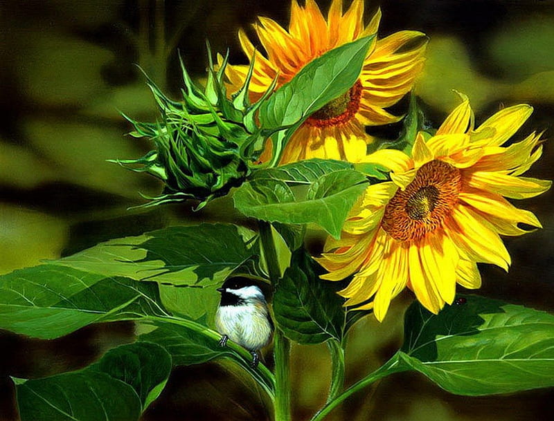 Chickadee on sunflower, art, lovely, yellow, sunny, bonito, prettty, leaves, nice, bird, sunflowers, chickadee, painting, summer, flowers, HD wallpaper