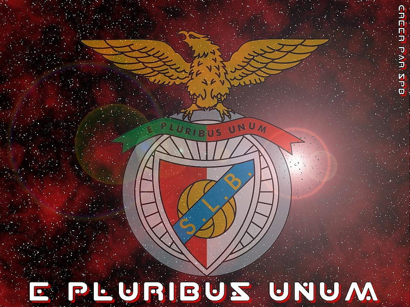 e pluribus unum, aguia, estadio luz, slb, benfica, portugal, HD wallpaper
