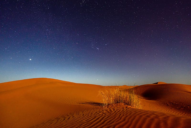 dunes, desert, sands, grass, night, starry sky, HD wallpaper