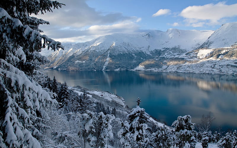 winter, mountain landscape, Norway, spruce, fjord, forest, HD wallpaper