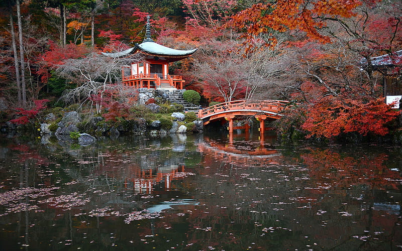 Japanese temple, autumn, japanese architecture, wooden bridge, lake, autumn landscape, Kyoto, japan, HD wallpaper
