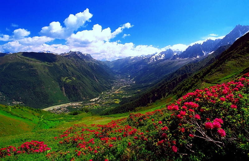 The Carpathian mountains, hills, view, grass, bonito, sky, Romania, valley, mountain, wild, summer, flowers, carpathian, HD wallpaper