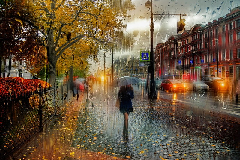 Rainy Days, fall, autumn, drops, city, splendor, nature, walk, rain, HD wallpaper