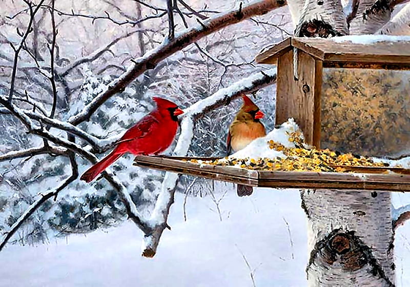 Winter Feeder - Cardinals F, art, songbirds, bonito, illustration, artwork, animal, winter, cardinals, bird, snow, avian, painting, wildlife, four seasons, HD wallpaper