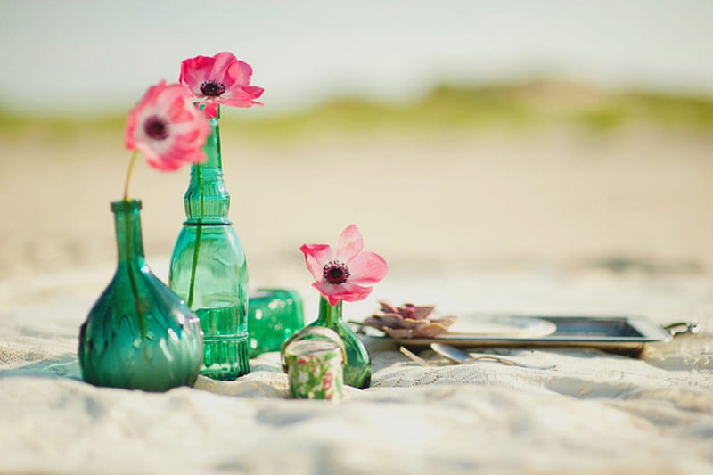 Still life, green bottles, beach, flowers, HD wallpaper