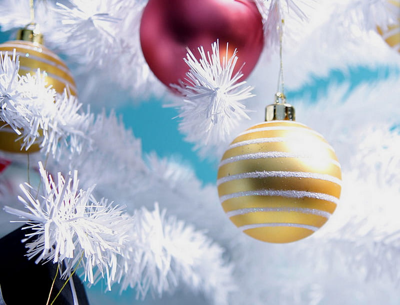 Cristmas Tree 2, christmas tree, holidays, christmas, star, HD wallpaper