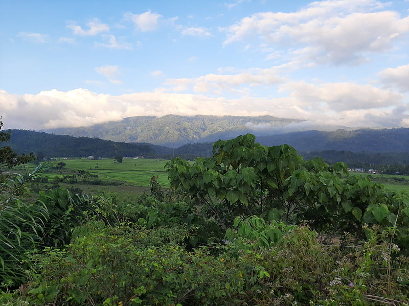 Gunung, aceh, green, indonesia, nature, pidie, HD wallpaper