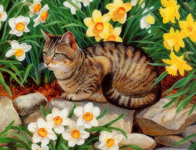 Spring Tabby Cat, draw and paint, lovely, daffodils, love four seasons, yellow, spring, cute, paintings, flowers, kitten, cats, animals, HD wallpaper