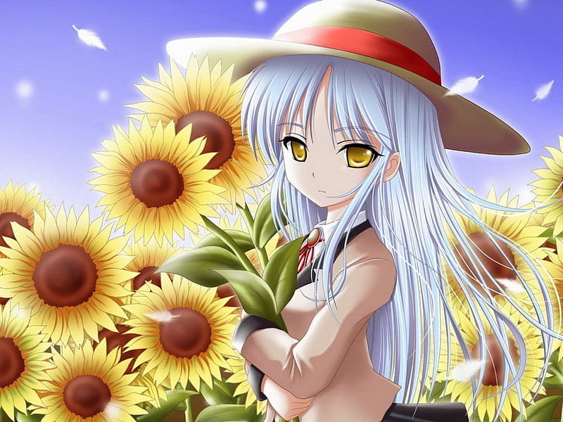 Anime con girasoles, niña, anime, flor, girasol, sombrero, Fondo de  pantalla HD | Peakpx