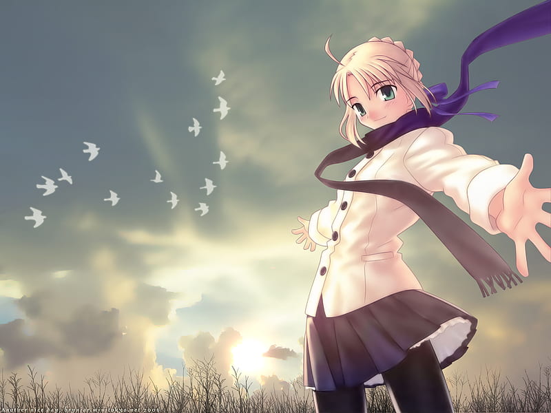 Welcome To My Favorite Spot !!, saber, birds, game, bonito, smile, arturia, fate stay night, anime, scarf, sunrise, blue, HD wallpaper
