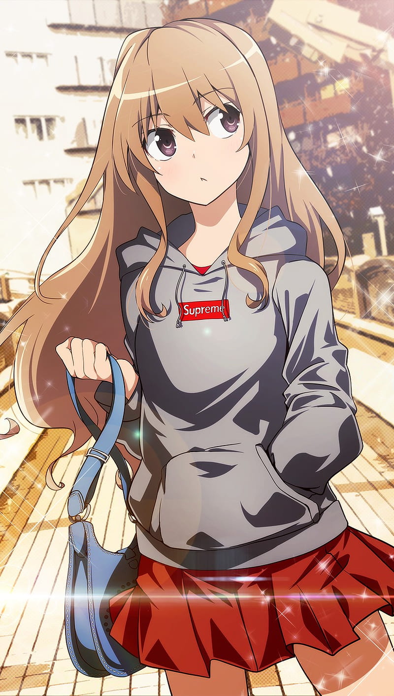 Toradora, anime, cute, girl, love, ryuji, school, taiga, HD phone wallpaper