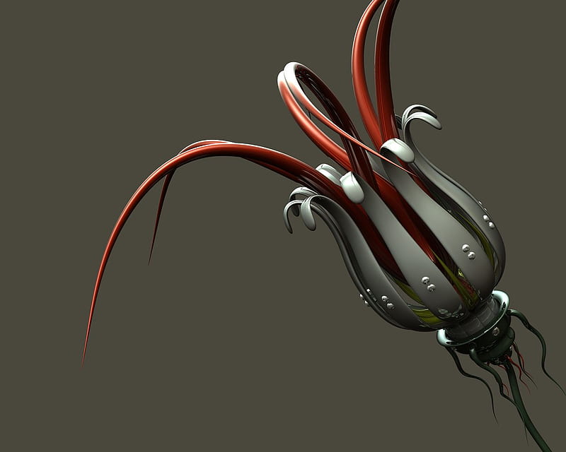 JDSJ new, for you, HD wallpaper JDSJ new, for you, HD wallpaper