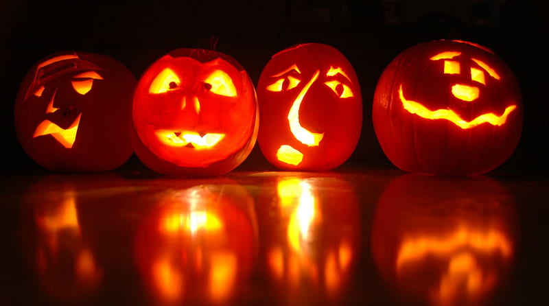 Row of Jack O Lanterns, Halloween, reflection, Jack O Lanterns ...