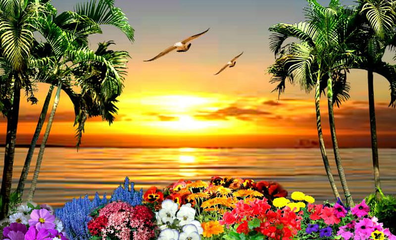 Sidesea garden, sunset, palm, horizon, garde, HD wallpaper